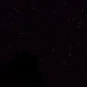 Meet your Posher, Rita